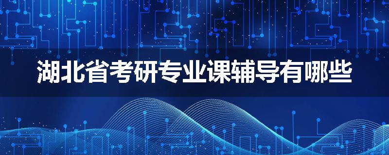 湖北省考研专业课辅导有哪些
