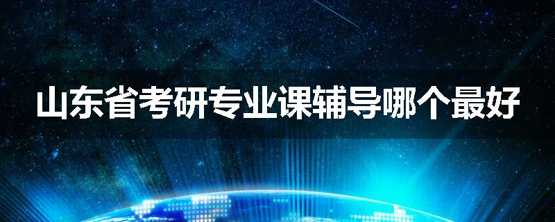 山东省考研专业课辅导哪个最好