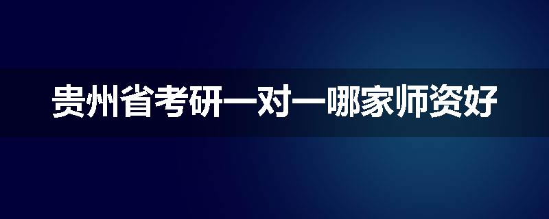贵州省考研一对一哪家师资好
