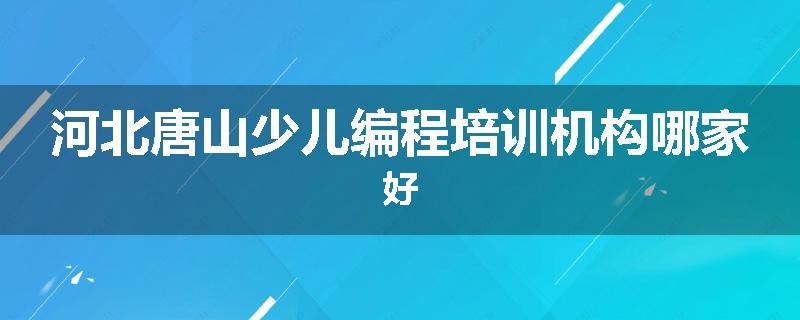 河北唐山少儿编程培训机构哪家好
