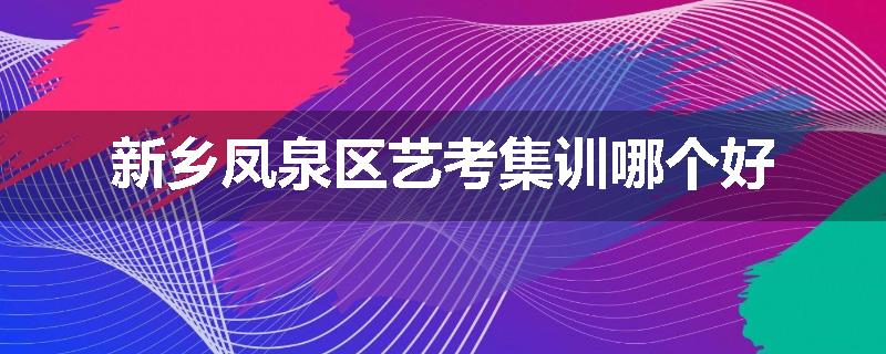 新乡凤泉区艺考集训哪个好