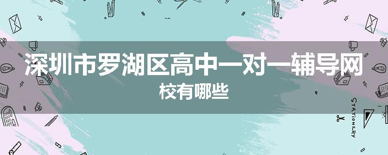 深圳市罗湖区高中一对一辅导网校有哪些