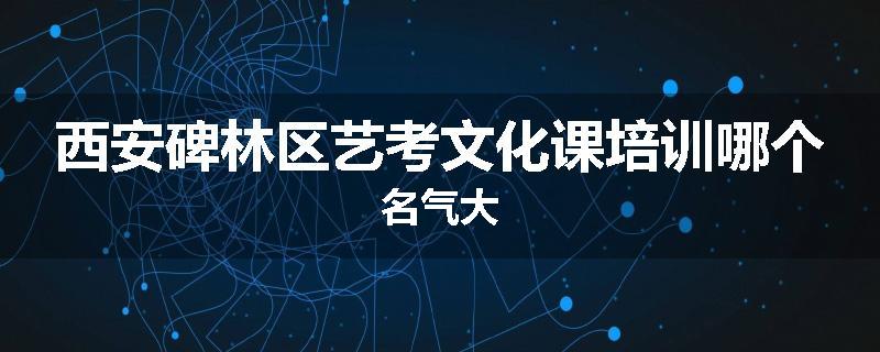 西安碑林区艺考文化课培训哪个名气大