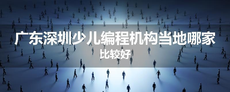广东深圳少儿编程机构当地哪家比较好
