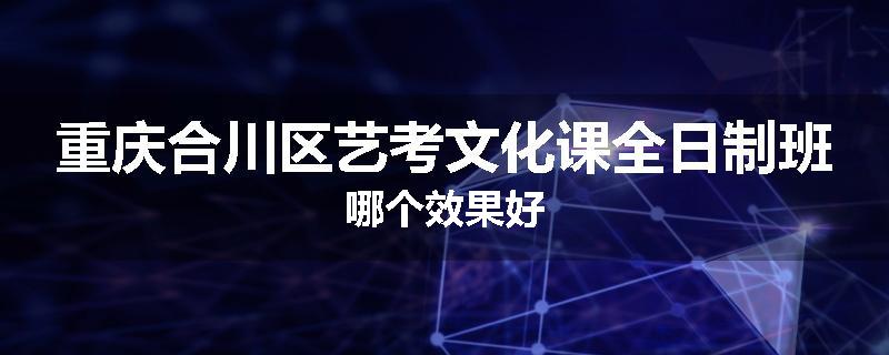 重庆合川区艺考文化课全日制班哪个效果好