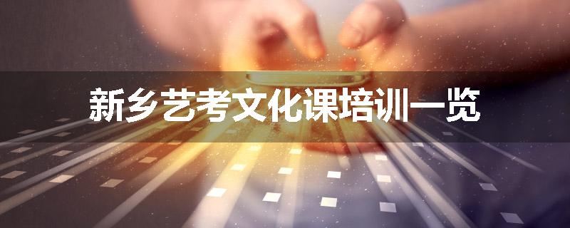 新乡艺考文化课培训一览