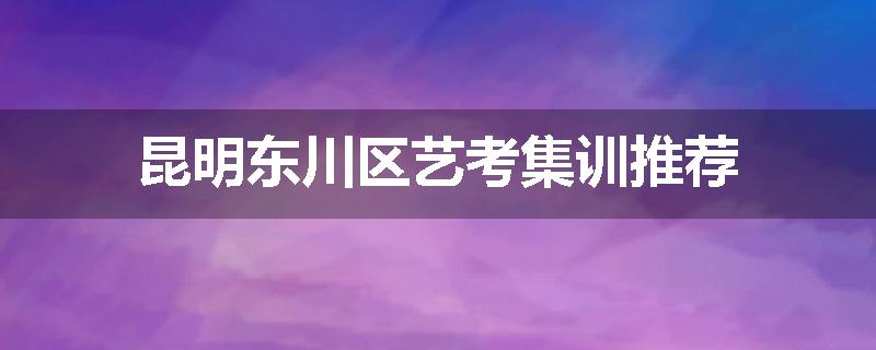 昆明东川区艺考集训推荐