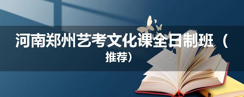 河南郑州艺考文化课全日制班（推荐）