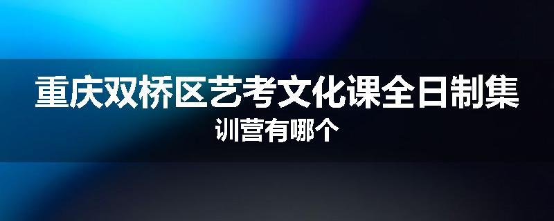 重庆双桥区艺考文化课全日制集训营有哪个