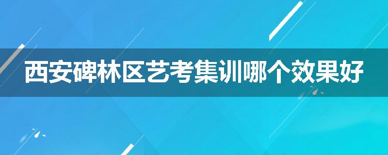 西安碑林区艺考集训哪个效果好