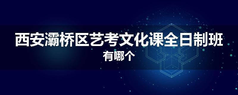西安灞桥区艺考文化课全日制班有哪个