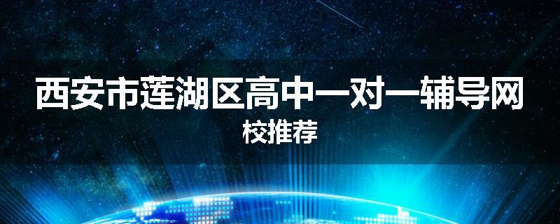 西安市莲湖区高中一对一辅导网校推荐
