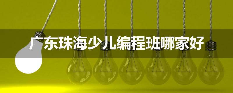 广东珠海少儿编程班哪家好