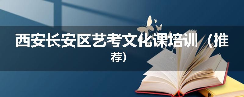 西安长安区艺考文化课培训（推荐）