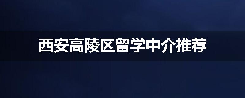 西安高陵区留学中介推荐