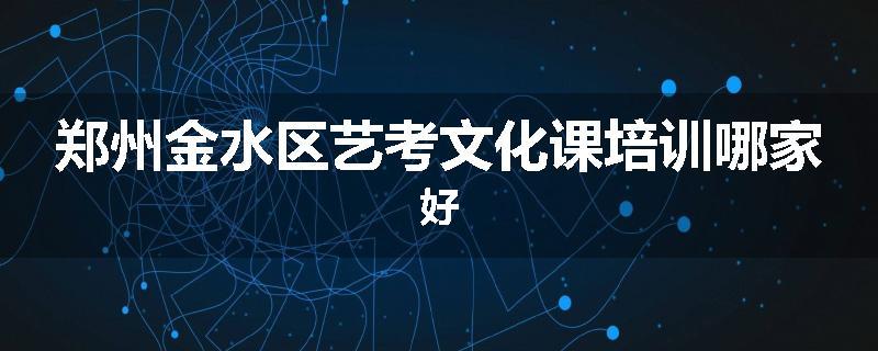 郑州金水区艺考文化课培训哪家好
