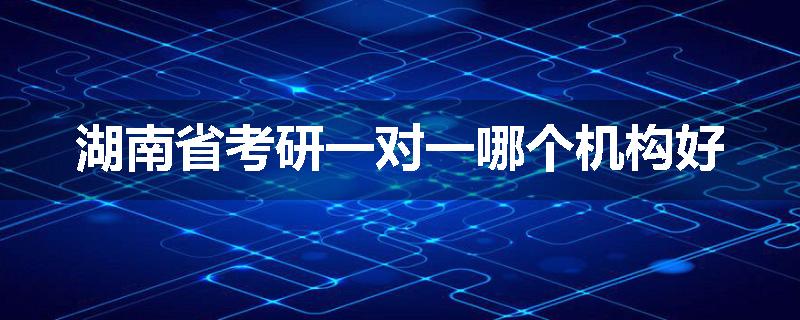 湖南省考研一对一哪个机构好