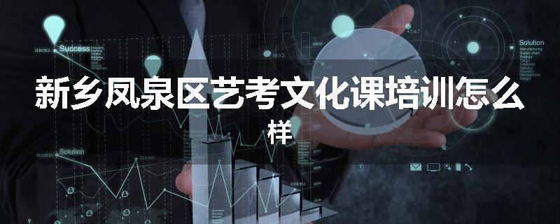新乡凤泉区艺考文化课培训怎么样