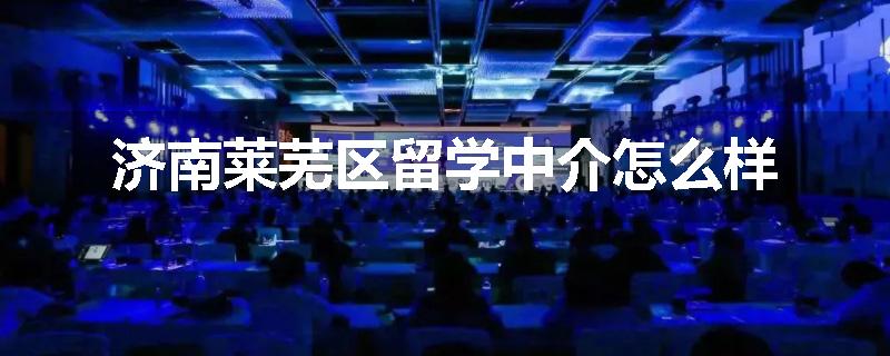 济南莱芜区留学中介怎么样