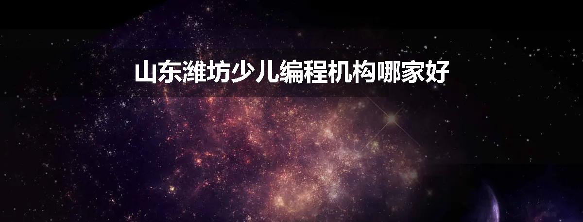 山东潍坊少儿编程机构哪家好