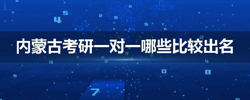 内蒙古考研一对一哪些比较出名