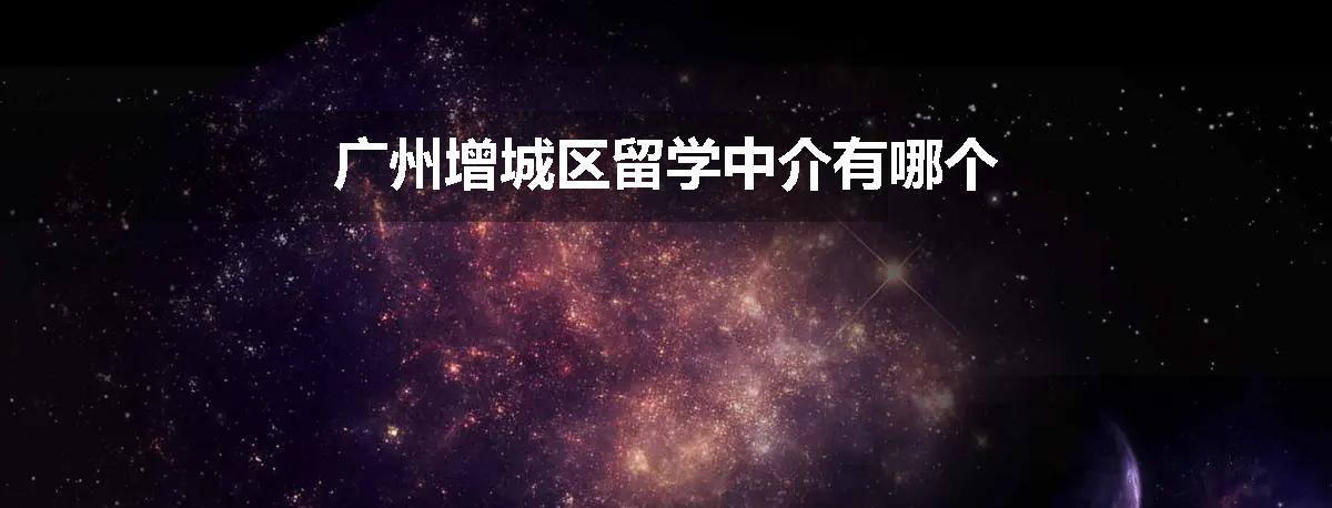 广州增城区留学中介有哪个