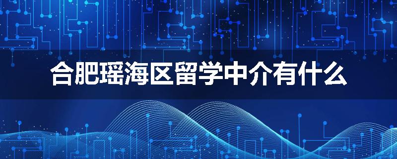 合肥瑶海区留学中介有什么