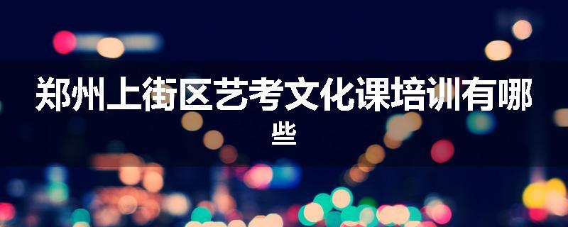 郑州上街区艺考文化课培训有哪些