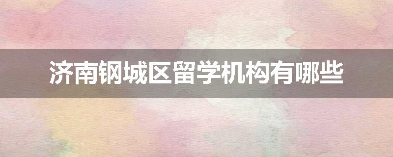 济南钢城区留学机构有哪些