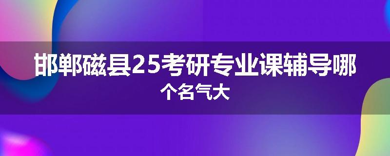 邯郸磁县25考研专业课辅导哪个名气大