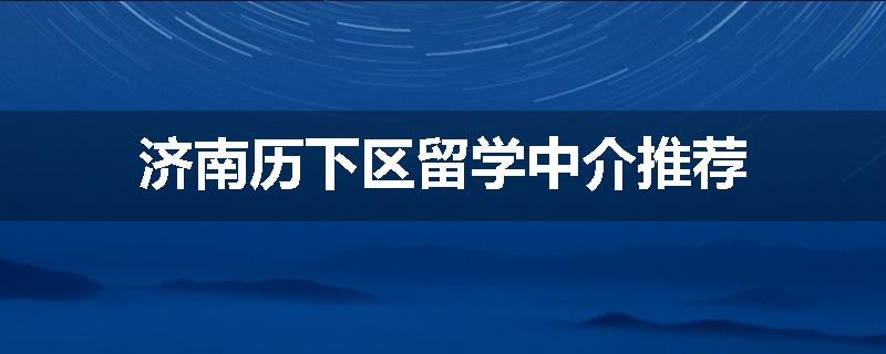 济南历下区留学中介推荐
