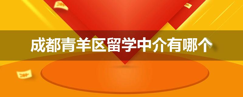 成都青羊区留学中介有哪个