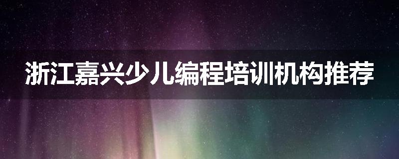 浙江嘉兴少儿编程培训机构推荐