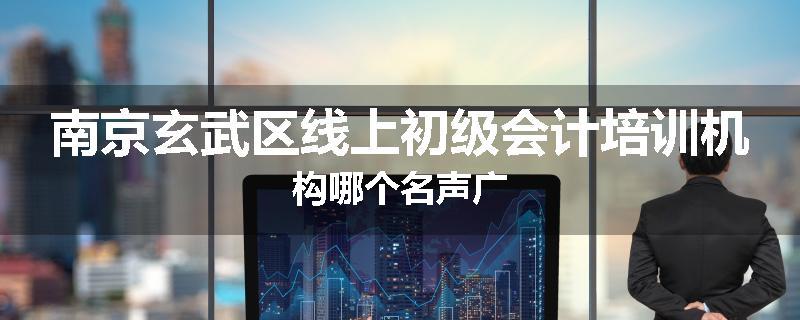 南京玄武区线上初级会计培训机构哪个名声广
