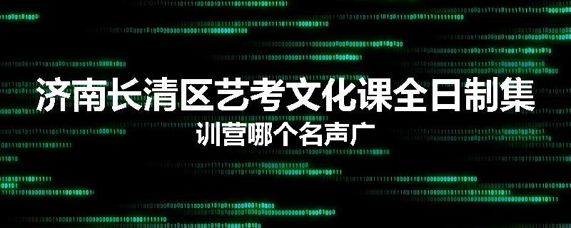 济南长清区艺考文化课全日制集训营哪个名声广