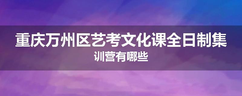 重庆万州区艺考文化课全日制集训营有哪些