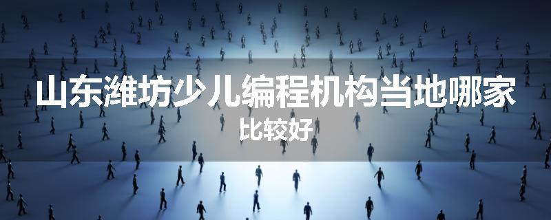 山东潍坊少儿编程机构当地哪家比较好
