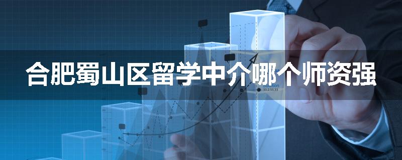 合肥蜀山区留学中介哪个师资强