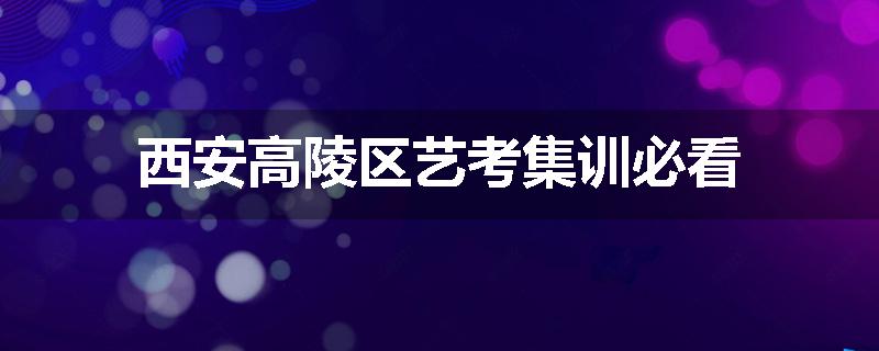 西安高陵区艺考集训必看