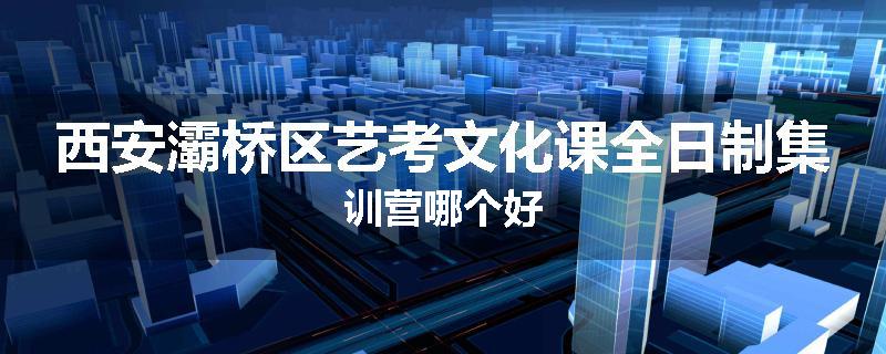 西安灞桥区艺考文化课全日制集训营哪个好