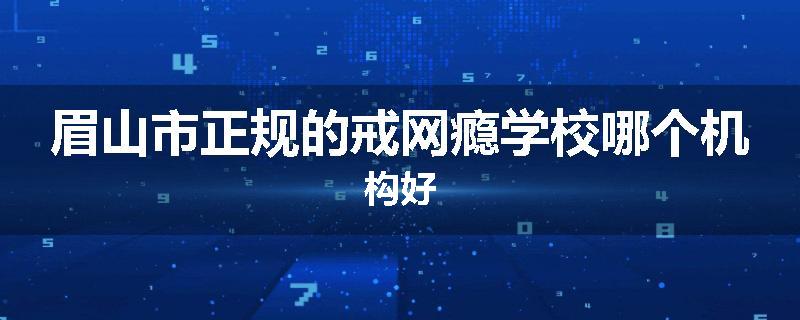 眉山市正规的戒网瘾学校哪个机构好