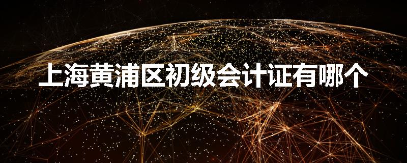 上海黄浦区初级会计证有哪个