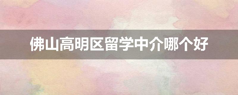 佛山高明区留学中介哪个好