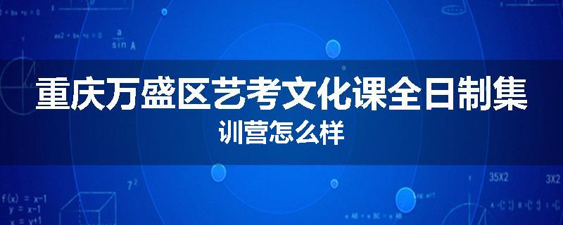 重庆万盛区艺考文化课全日制集训营怎么样