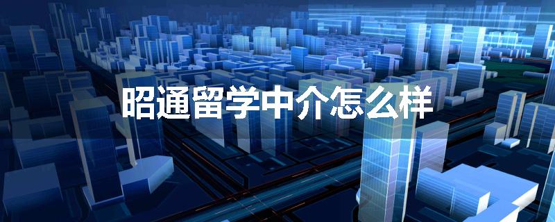 昭通留学中介怎么样