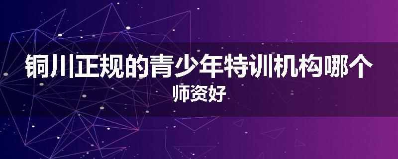 铜川正规的青少年特训机构哪个师资好