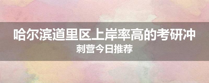 哈尔滨道里区上岸率高的考研冲刺营今日推荐