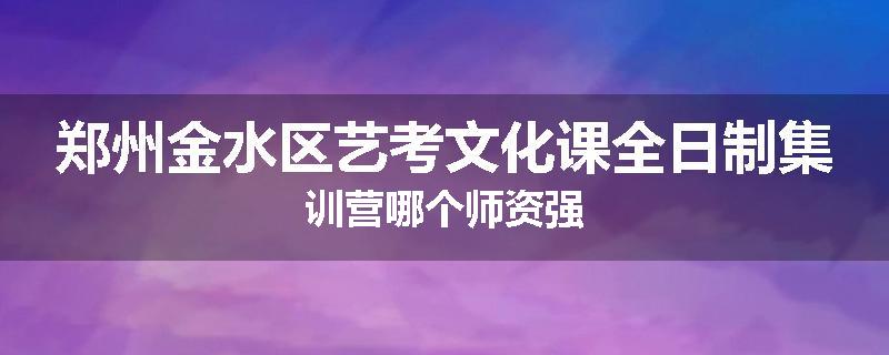 郑州金水区艺考文化课全日制集训营哪个师资强