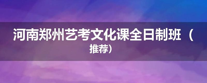 河南郑州艺考文化课全日制班（推荐）