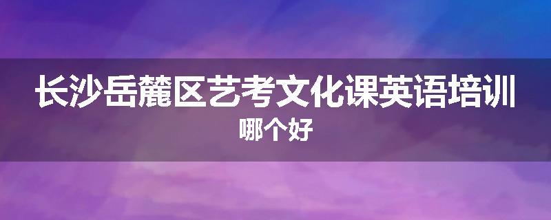 长沙岳麓区艺考文化课英语培训哪个好